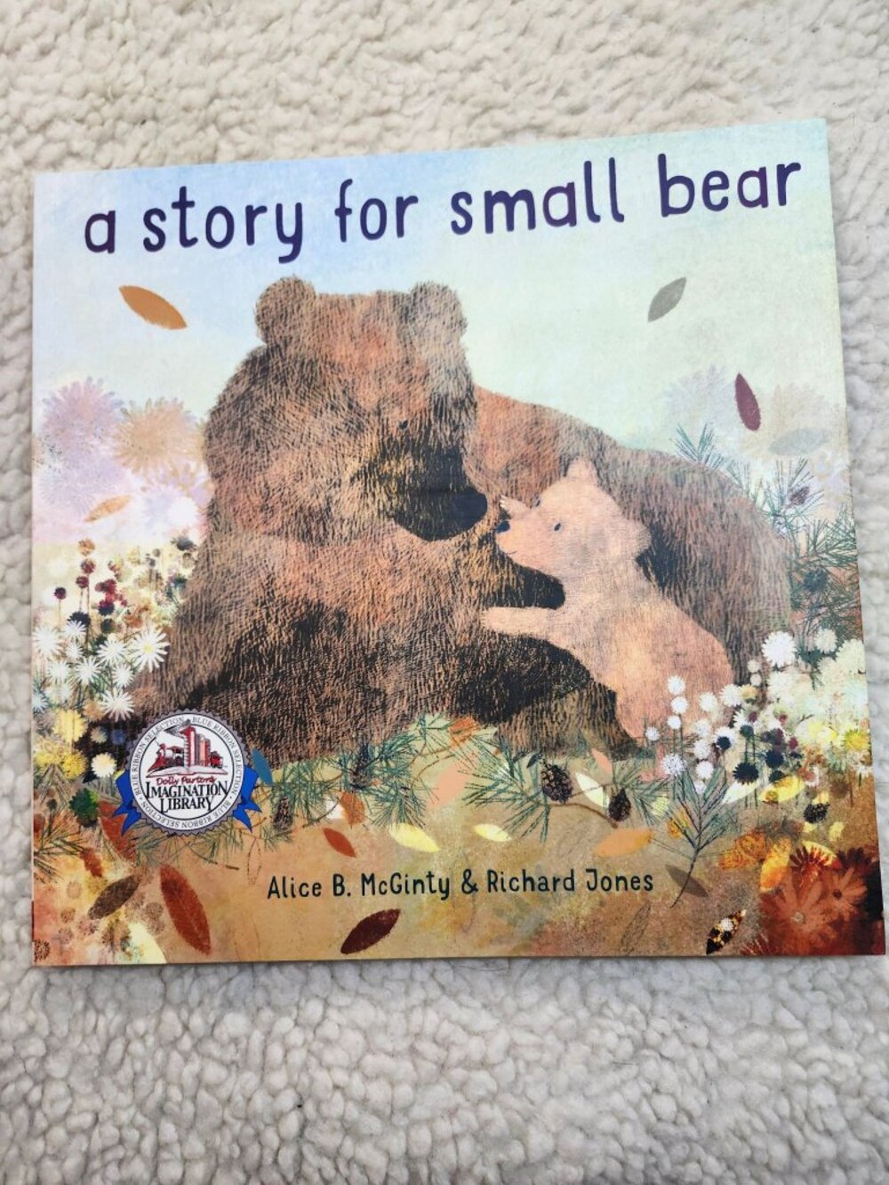 A Story for Small Bear Alice B. McGinty Richard Jones Picture Book 2020 Children
